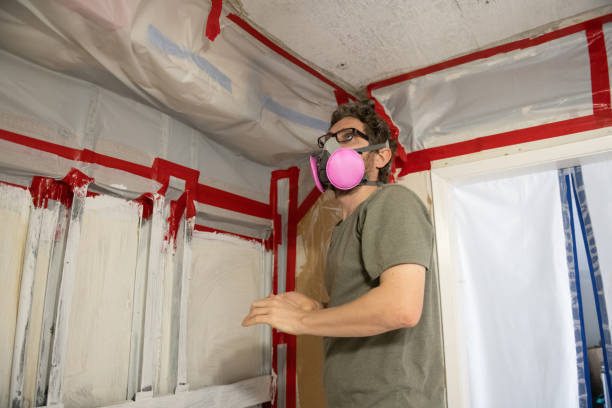 Best Environmental Consulting for Mold Prevention  in Shorewood Forest, IN